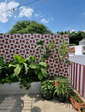 Casa Caio Graco — fragmento 11