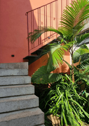 Casa Caio Graco — fragmento 4